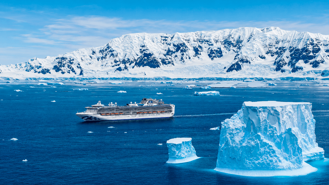 CRUCERO ANTARTIDA & ISLAS MALVINAS